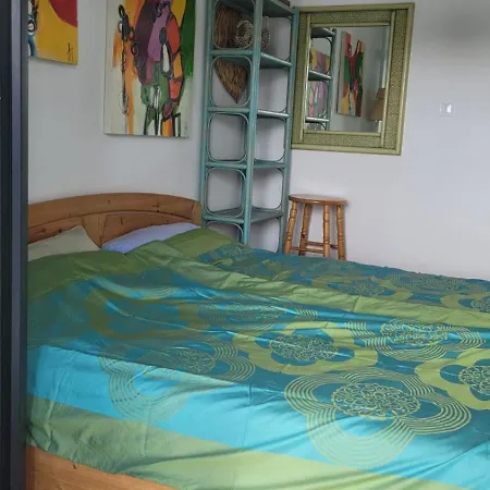 Muszelka Apartament *